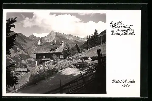 AK Mayrhofen i. Zillertal, Gasthof Wiesenhof mit Brandberg Kolm
