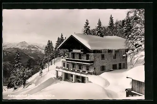 AK Waidring, Alpengasthof Steinplatte im Schnee