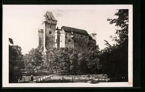 AK Mödling, Feste Liechtenstein