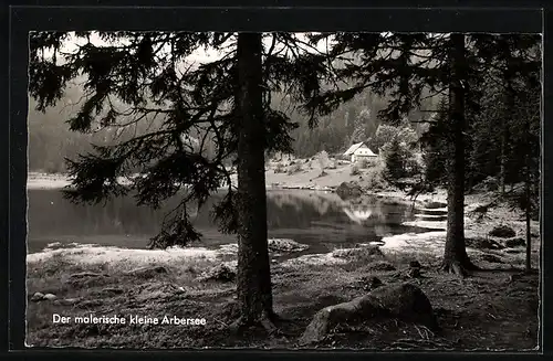 AK Landpoststempel Kreuzstrassl