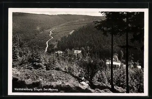 AK Landpoststempel Waldbärenburg über Dippoldiswalde