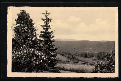 AK Landpoststempel Oberbärenburg über Dippoldiswalde