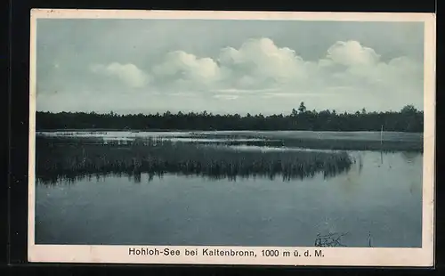 AK Landpoststempel Reichental Gernsbach (Murgtal) Land