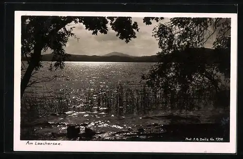 AK Landpoststempel Waldfrieden über Andernach