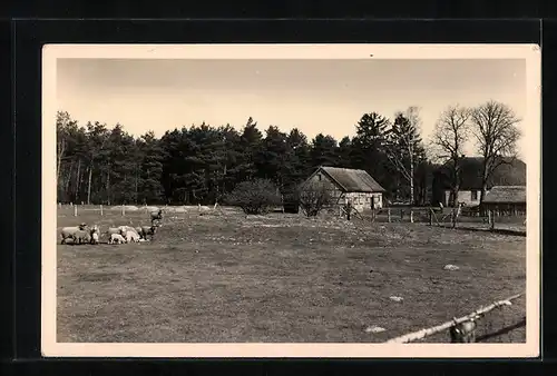AK Landpoststempel Boek über Neustrelitz