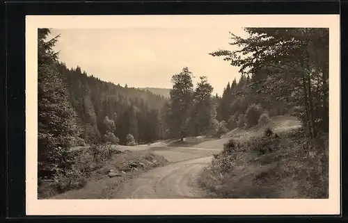 AK Landpoststempel Vesser über Schmiedefeld a Rennsteig