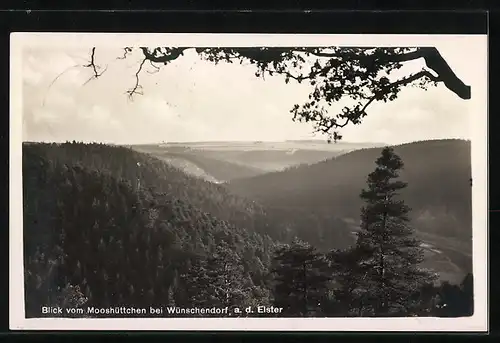 AK Landpoststempel Endschütz über Weida