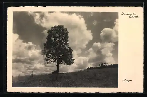 AK Landpoststempel Langenhain Hofheim (Taunus) Land