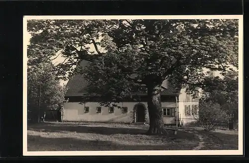 AK Landpoststempel Muldenberg-Kottenheide über Oelsnitz (Vogtl)