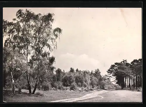 AK Landpoststempel Wellaune, Kr. Eilenburg