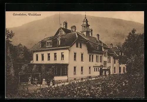 AK Edenkoben, Blick auf Waldhaus
