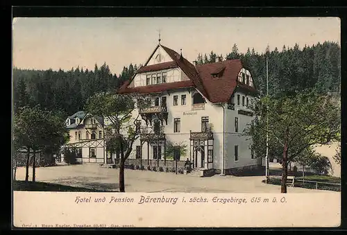 AK Bärenburg i. sächs. Erzgebirge, Blick auf Hotel und Pension