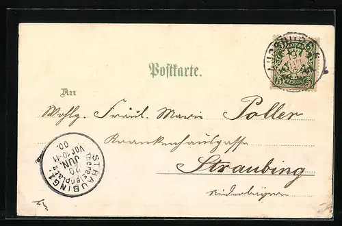 Lithographie Augsburg, Totalansicht mit Strassenpartie, Die Wassertürme