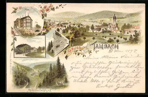 Lithographie Tambach, Fürstenblick, Nesselberghaus, Apfelstaedtergrund