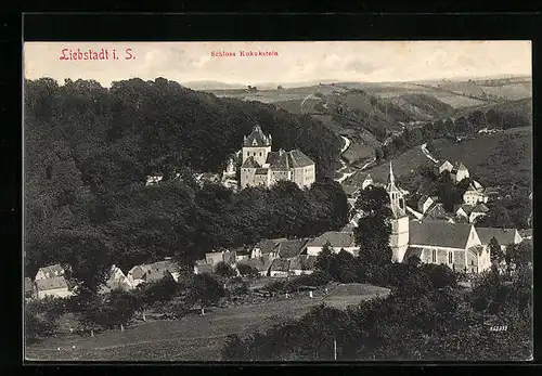 AK Liebstadt i. S., Ortsansicht mit Schloss Kukukstein