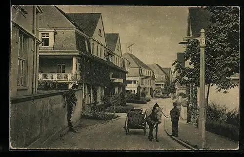 AK Gottleuba, Strassenpartie mit Karren und Pferd