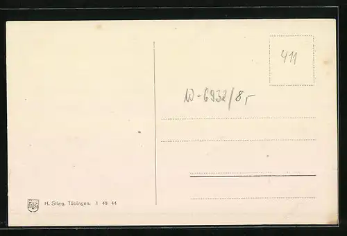 AK Hirschhorn a. N., Ortsansicht mit Flusslauf