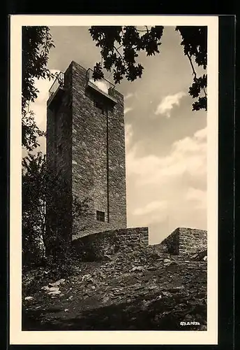 AK Hainewalde /Sa., Der Turm a. d. Breiteberg