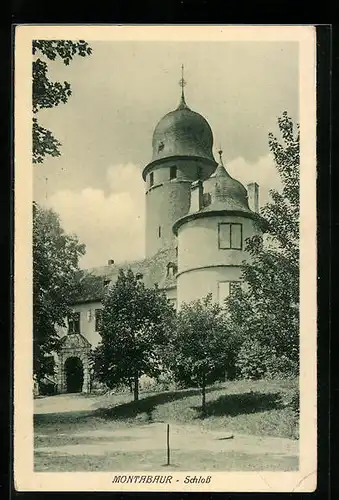 AK Montabaur, Bäume vor dem Schloss