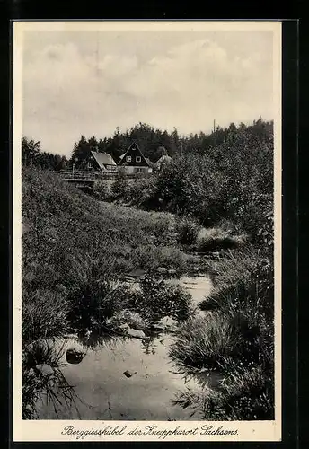 AK Berggiesshübel, Kneipkurort in ländlicher Idylle