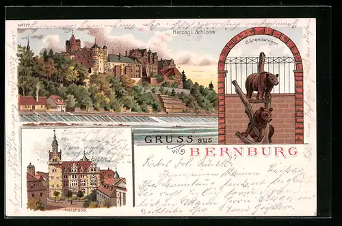 Lithographie Bernburg, Herzogliches Schloss, Kreishaus, Bärenzwinger