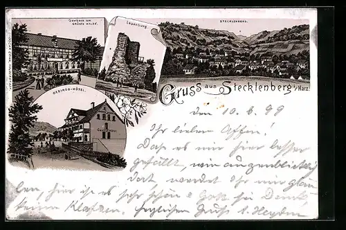Lithographie Stecklenberg i. Harz, Gebirgs-Hotel, Gasthaus Zum grünen Walde, Lauenburg