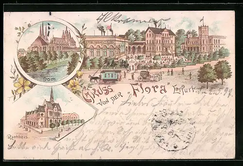 Lithographie Erfurt, Dom, Rathhaus, Strassenpartie mit Passanten