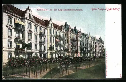 AK Hamburg-Eppendorf, Eppendorferlandstrasse, Rosenallee mit Häusern