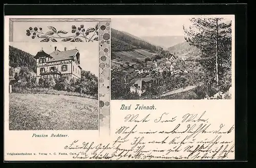 AK Bad Teinach, Pension Bechtner, Gesamtansicht aus der Vogelschau