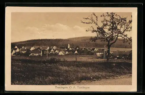 AK Tuningen o. a. Tuttlingen, Blick auf den Ort
