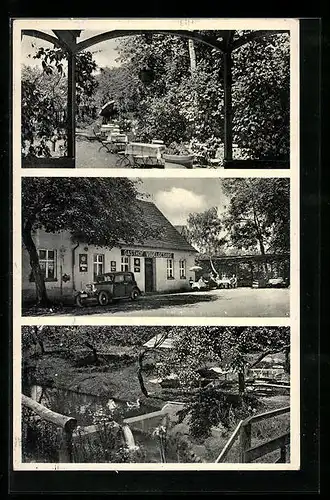 AK Elsnig, Gasthaus Vogelgesang, Bes. Ewald Seidel, Strassenansicht, Biergarten
