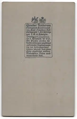 Fotografie Th. Andersen, Stuttgart, Charlottenstrasse 8, Bürgerliche Dame im besten Alter im Sonntagsstaat