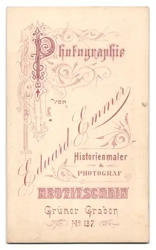 Fotografie Eduard Emmer, Neutitschen, Grüner Graben 137, Bürgerliche Dame mit Hochsteckfrisur und Haarnetz