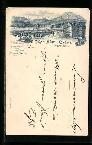 Lithographie Lucerne, Swan-Hôtel-Cygne