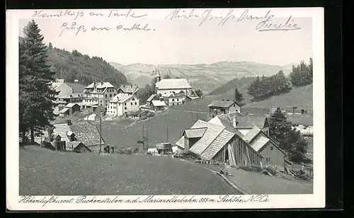 AK Puchenstuben a. d. Mariazellerbahn, Höhenluftkurort in ländlicher Idylle