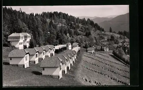 AK Hirt-Agathenhof, Graupnerhöhe mit verschiedenartigen Villen