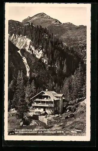 AK Neukirchen a. Grossvenediger, Alpengasthaus Berndlalm im Obersulzbachtal