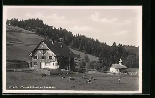 AK Bregenz, Gasthaus Pfänderdohle und Nachbargebäude