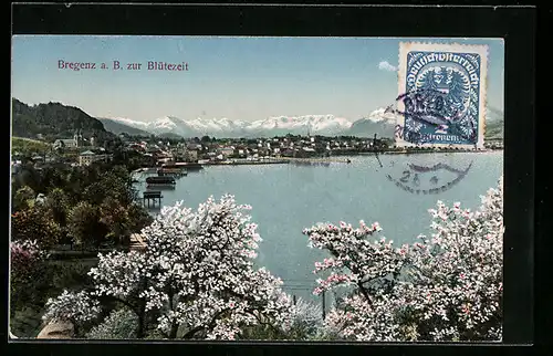 AK Bregenz a. B., Ortsansicht zur Blütezeit