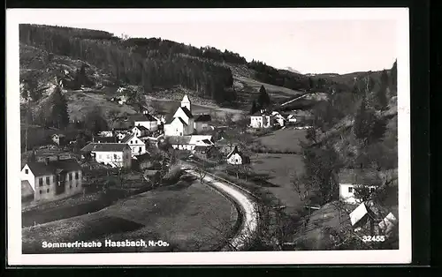 AK Hassbach /N.-Oe., Ortspartie mit Kirche