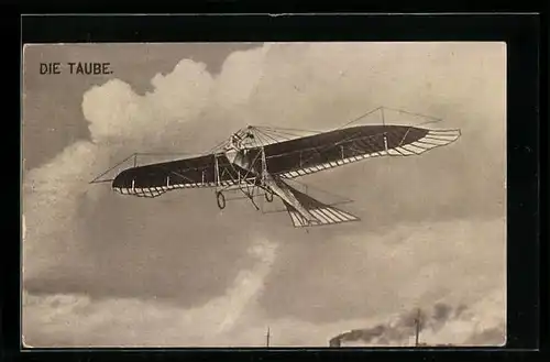 AK Flugzeug Die Taube im Flug