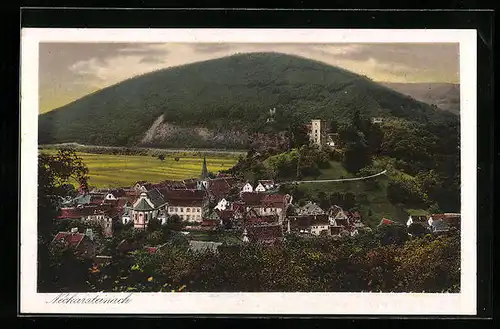 AK Neckarsteinach, Ort aus der Vogelschau