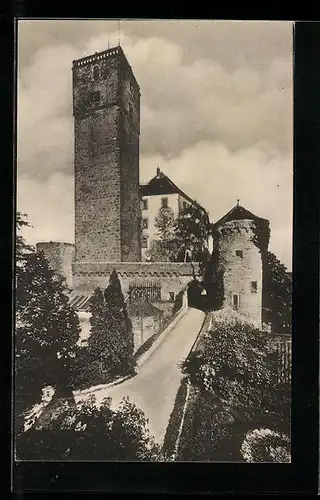 AK Hassmersheim a. N. /Baden, Blick auf Schloss Guttenberg