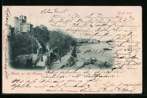 AK Ulm a. D., Uferpartie mit Burg