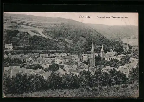 AK Gemünd /Eifel, Teilansicht mit Kirche vom Tannenwäldchen