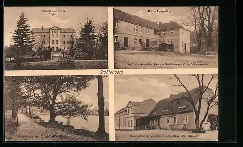 AK Dahlenberg, Gasthof zum grünen Hain, Schloss Leipnitz, Teichdamm mit Blick aufs Dorf