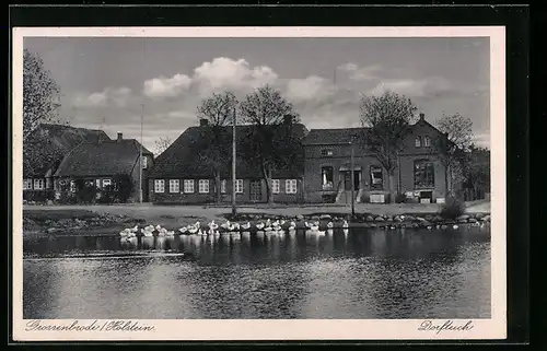 AK Grossenbrode /Holstein, Dorfteich mit Häusern