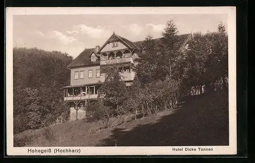 AK Hohegeiss /Hochharz, Hotel Dicke Tannen