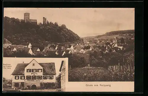 AK Neipperg, Gasthaus zur Traube C. Lang, Ortsansicht aus der Vogelschau