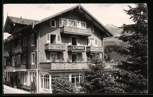 AK Adelboden, Hotel Alpenrose